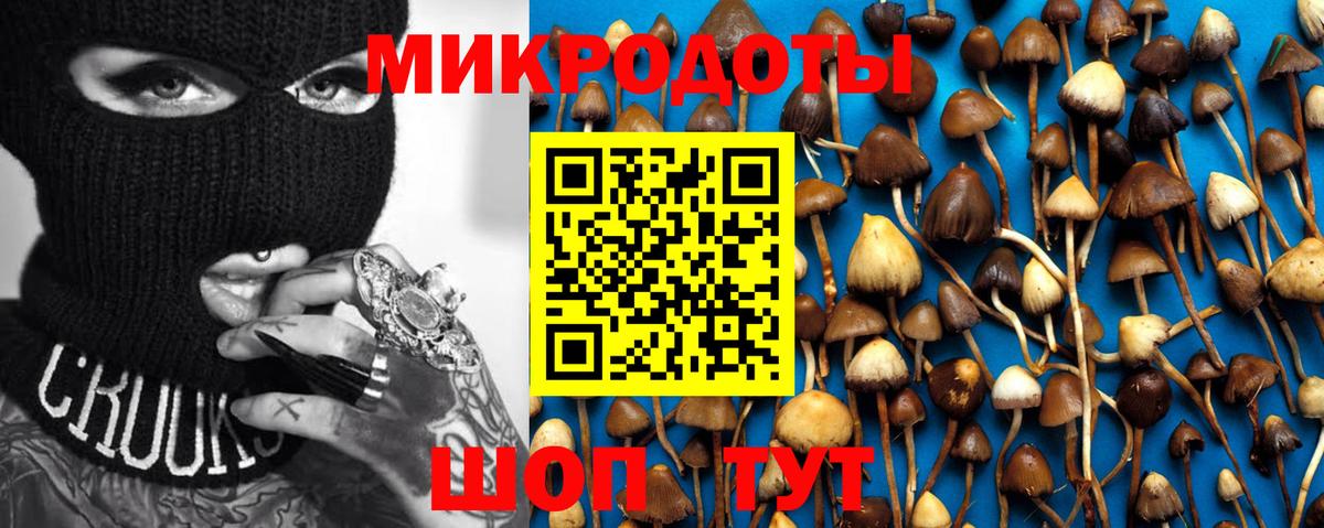 Краснотурьинск  Псилоцибиновые грибы MAGIC MUSHROOMS  Вход с VPN 