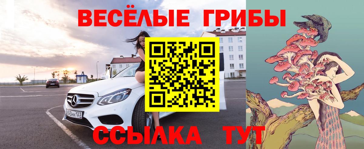Галлюциногенные грибы прущие грибы Краснотурьинск